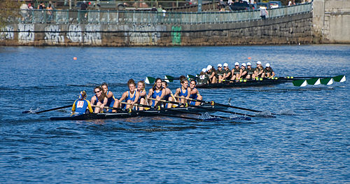 Head of the Charles Regatta